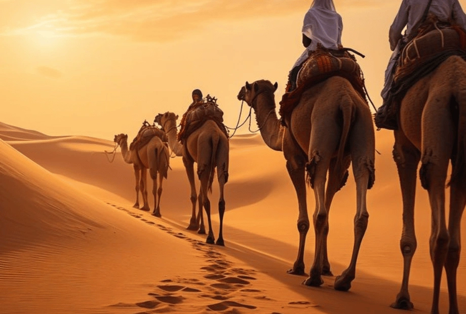 Moroccan Tours 31